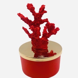 Bomboniera laurea Chiaraela candela corallo rosso bassa